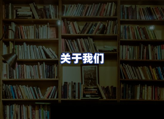 专业团队